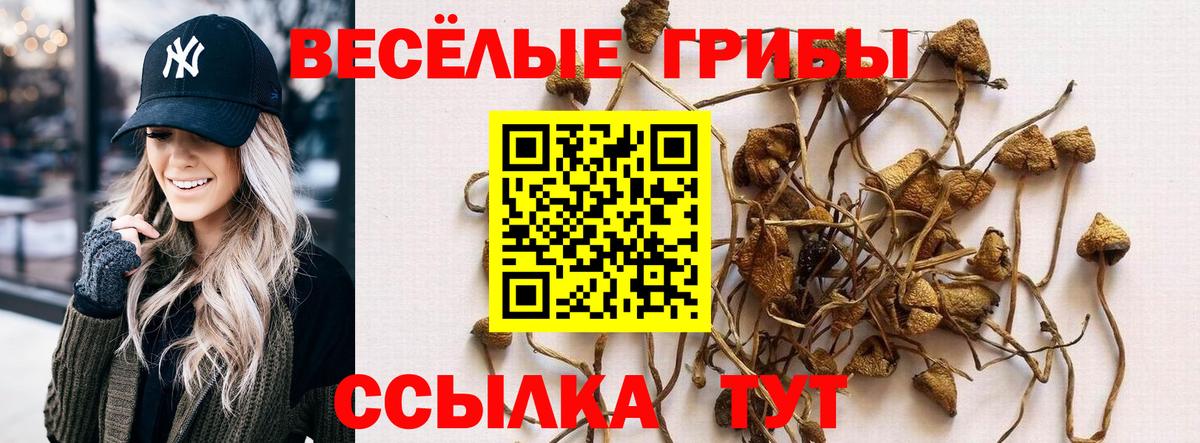 Псков  Псилоцибиновые грибы Psilocybine cubensis  Вход с VPN 